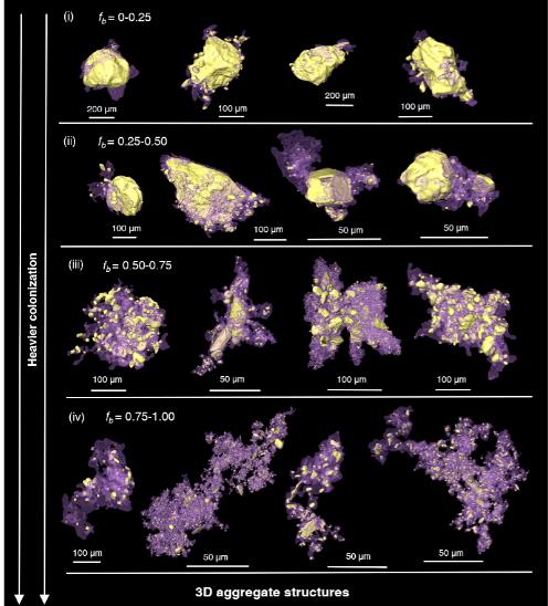 首次揭示微生物驅(qū)動(dòng)的泥沙結(jié)構(gòu)-動(dòng)力演化機(jī)制，顛覆傳統(tǒng)泥沙運(yùn)動(dòng)理論的核心假定