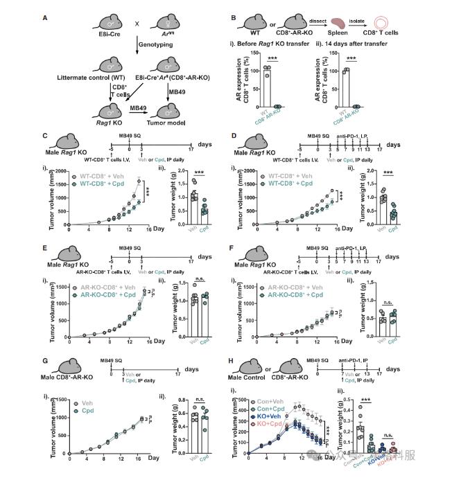 腸道微生物群竟成抗癌“隱形戰(zhàn)士”！催化生成新型膽汁酸激活抗腫瘤免疫（三）