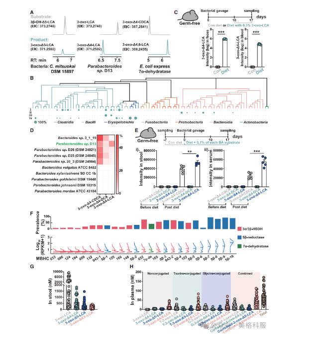 腸道微生物群竟成抗癌“隱形戰(zhàn)士”！催化生成新型膽汁酸激活抗腫瘤免疫（二）