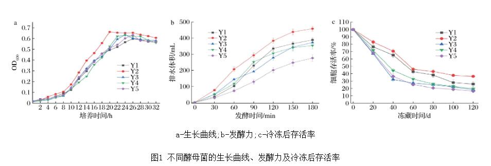 不同酵母的生長曲線、發(fā)酵力、耐凍性能測定及發(fā)酵面團感官評定（二）