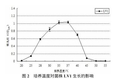 驢用微生態(tài)制劑干酪乳酸桿菌篩選、生理生化鑒定及生長條件（二）
