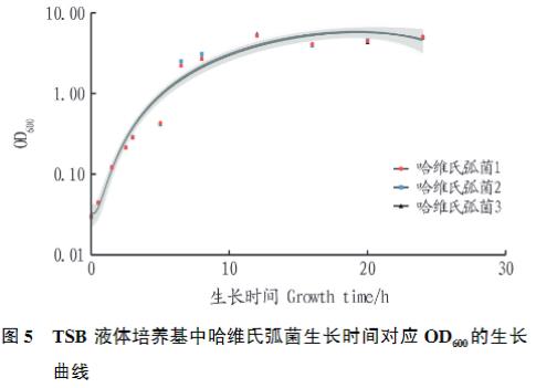 斜帶石斑魚哈維氏弧菌分離純化、生長曲線繪制及耐藥性研究（三）