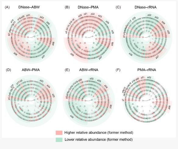 大尺度環(huán)境樣本土壤活體微生物研究方法評(píng)估與驗(yàn)證（二）