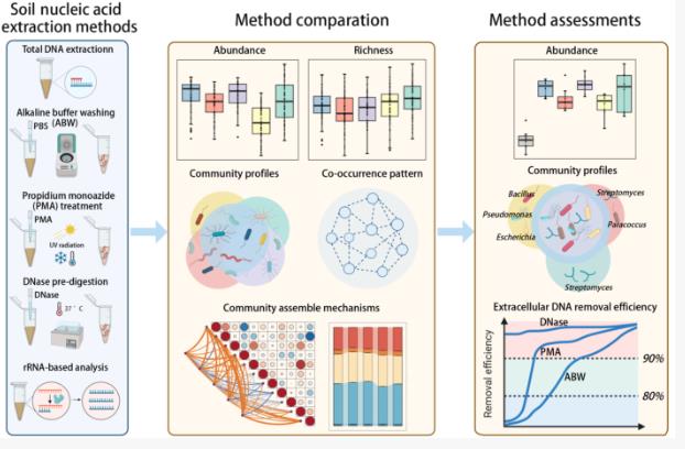 大尺度環(huán)境樣本土壤活體微生物研究方法評(píng)估與驗(yàn)證（一）