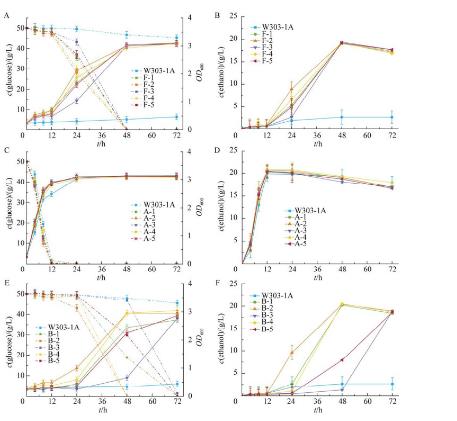 定向梯度馴化釀酒酵母W303-1A在糠醛和對(duì)羥基苯甲酸抑制脅迫下生長(zhǎng)情況（三）