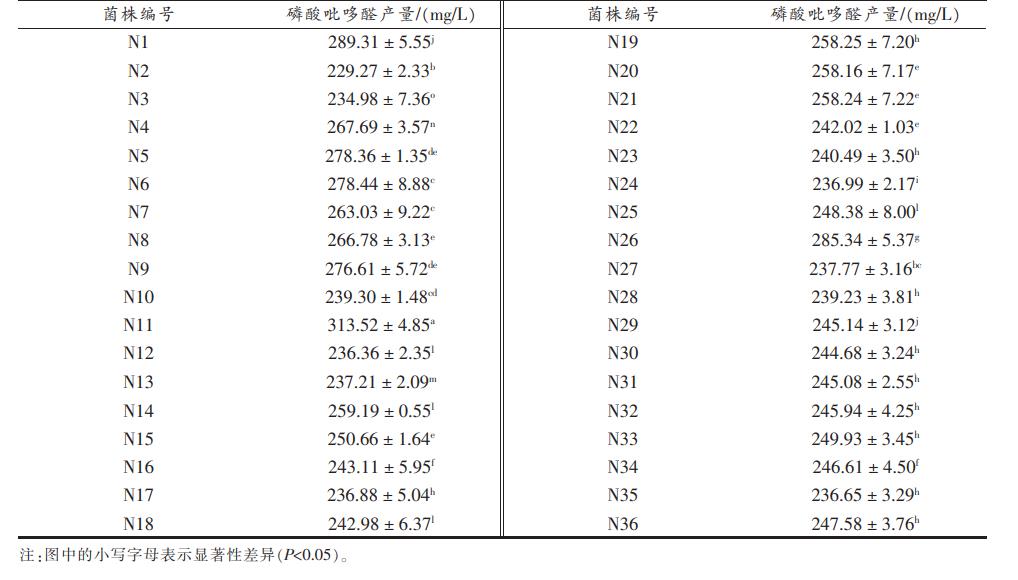 高產(chǎn)磷酸吡哆醛功能性乳酸菌篩選、最適生長溫度及生長曲線圖繪制（二）