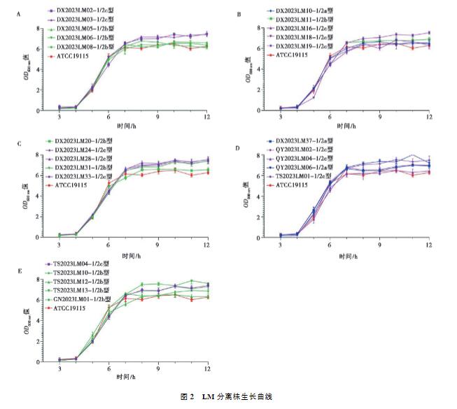 畜禽屠宰場環(huán)境和畜禽肉中單增李斯特菌污染情況、生長曲線及消毒劑最小抑菌濃度分析（三）
