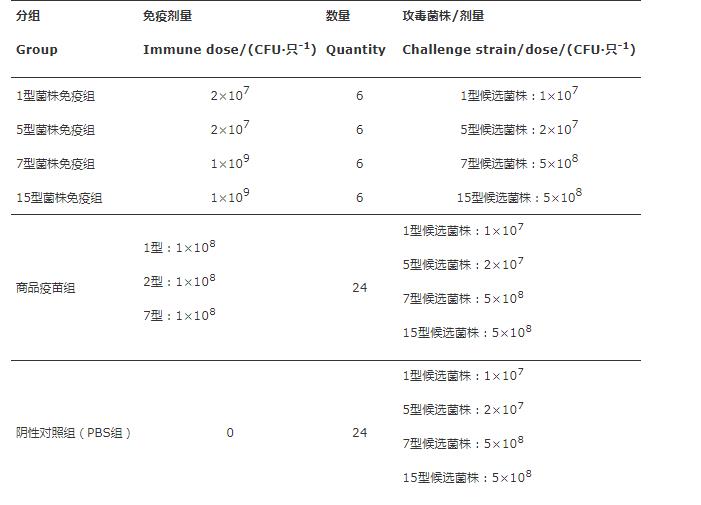 疫苗候選菌株：豬胸膜肺炎放線桿菌生長曲線、溶血活性、 耐藥性測定（二）