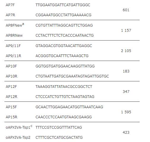疫苗候選菌株：豬胸膜肺炎放線桿菌生長曲線、溶血活性、 耐藥性測定（一）