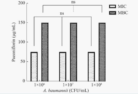 不同濃度芍藥苷對(duì)鮑曼不動(dòng)桿菌生長(zhǎng)曲線、生物被膜形成的影響（一）