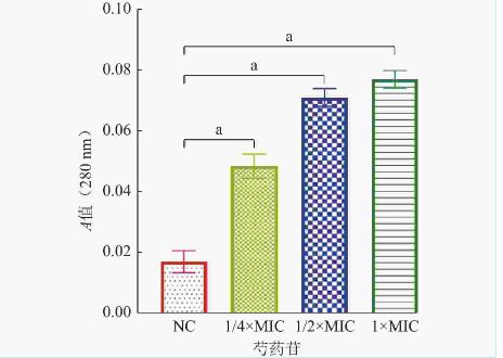 不同濃度芍藥苷對(duì)鮑曼不動(dòng)桿菌生長(zhǎng)曲線、生物被膜形成的影響（三）