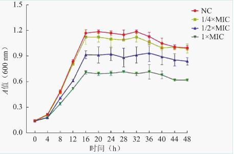 不同濃度芍藥苷對(duì)鮑曼不動(dòng)桿菌生長(zhǎng)曲線、生物被膜形成的影響（二）