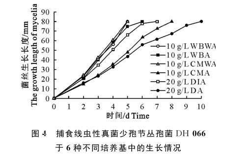 捕食線蟲(chóng)性真菌少孢節(jié)叢孢菌不同分離株在4種培養(yǎng)基的生長(zhǎng)速度研究（三）