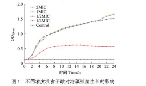 不同濃度沒食子酸對溶藻弧菌生長、電導率生、物被膜形成、泳動聚集能力的影響（一）
