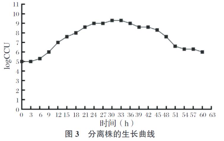 牛支原體分離株YJ-22的分離鑒定、生長特性、致病性及免疫原性研究（三）