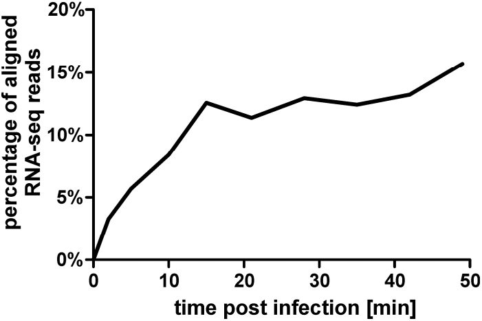 生長曲線分析儀研究噬菌體φR1-37對宿主細菌小腸結腸炎耶爾森菌的感染動力學