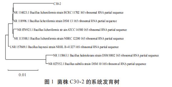 地衣芽孢桿菌的生長曲線測定、生理生化特性、益生性能研究（一）
