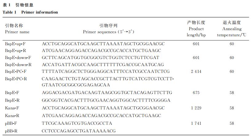 BspE 基因缺失對牛種布魯氏菌體外生長、胞內(nèi)生存、黏附能力的影響（一）