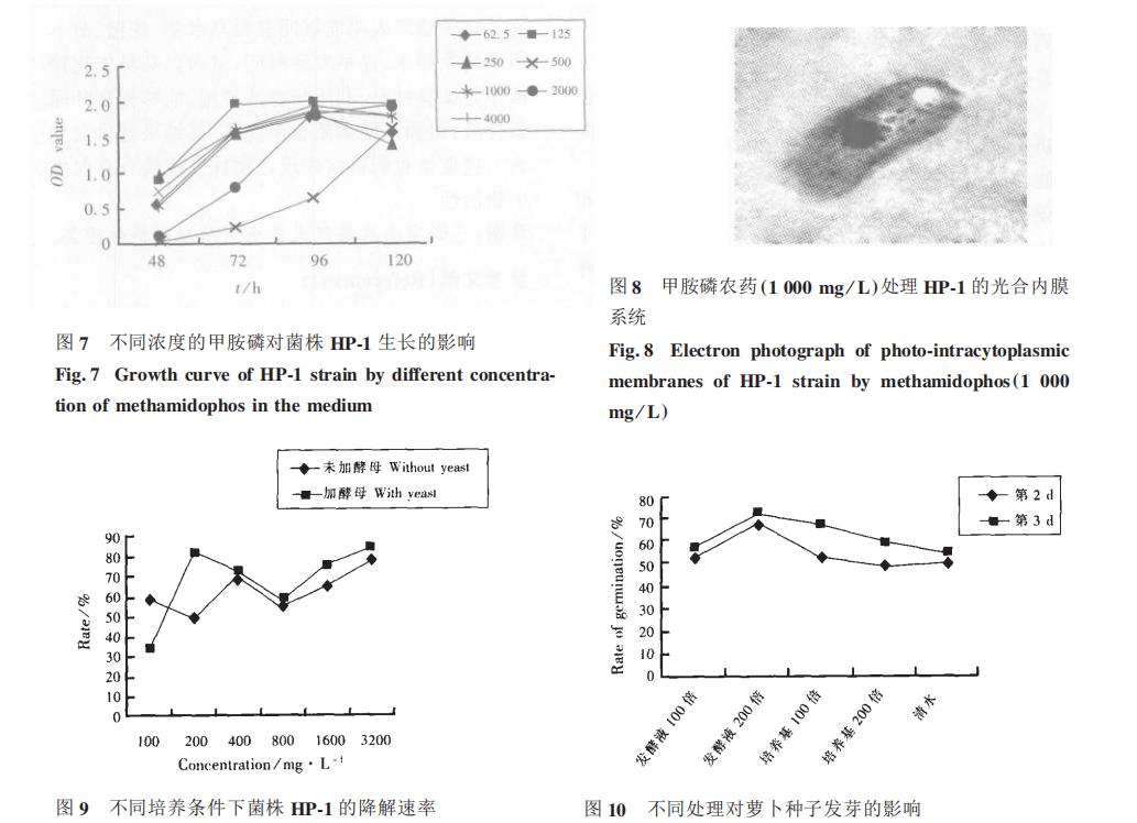光合細(xì)菌菌株HP-1生長(zhǎng)曲線、甲胺磷耐受能力、降解能力測(cè)定（三）