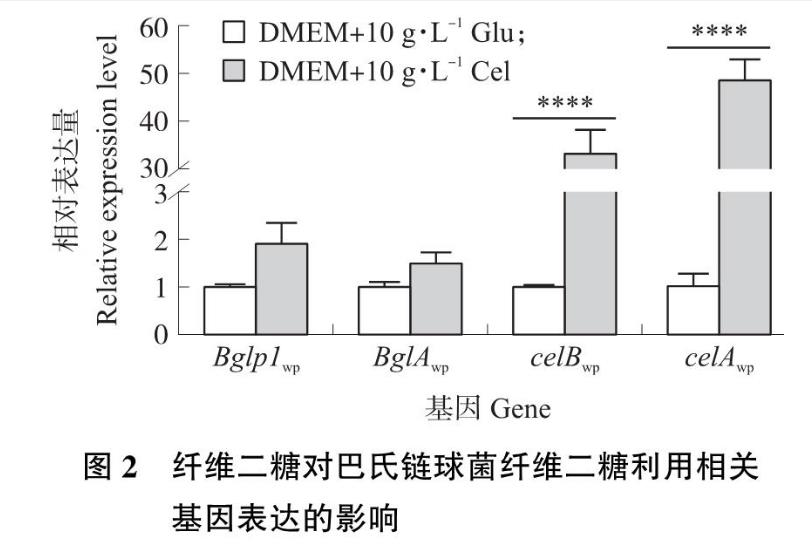 纖維二糖利用基因簇對(duì)豬源巴氏鏈球菌生長(zhǎng)曲線及毒力的影響—— 結(jié)果與分析、討論