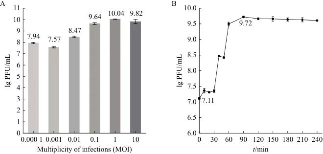 小腸結腸炎耶爾森氏菌烈性噬菌體分離鑒定、生長曲線及應用潛力——結果與分析02
