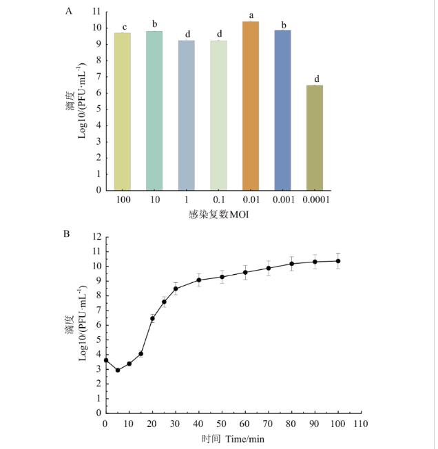 大腸埃希菌的噬菌體DK-13生物學特性及對污染豬肉的殺菌作用（二）