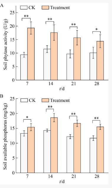 植酸酶基因修飾的土著細(xì)菌實(shí)現(xiàn)水解黑土植酸并提高有效磷含量——結(jié)果與討論、結(jié)論