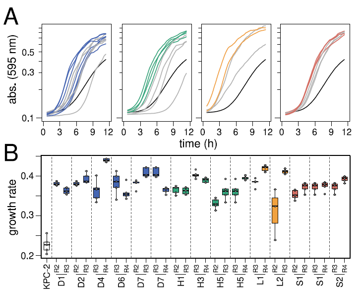 全自動微生物生長曲線分析儀監(jiān)測碳青霉烯酶突變體在不同條件下的生長速率
