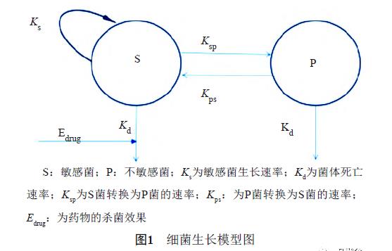 金黃色葡萄球菌在不同喹諾酮類藥物的最低抑菌濃度倍數(shù)濃度下的生長曲線（上）