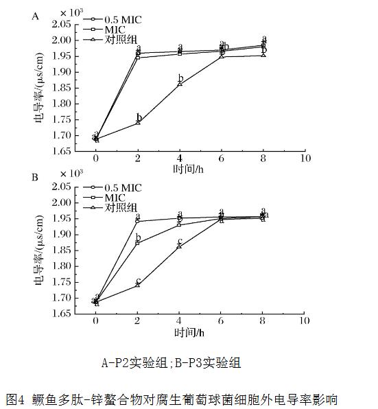 鱖魚多肽-鋅螯合物對腐生葡萄球菌抑菌圈、過氧化氫酶活力、生長曲線的影響（三）