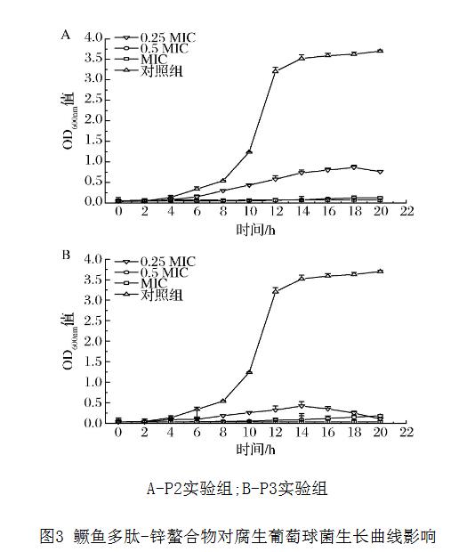 鱖魚多肽-鋅螯合物對腐生葡萄球菌抑菌圈、過氧化氫酶活力、生長曲線的影響（二）