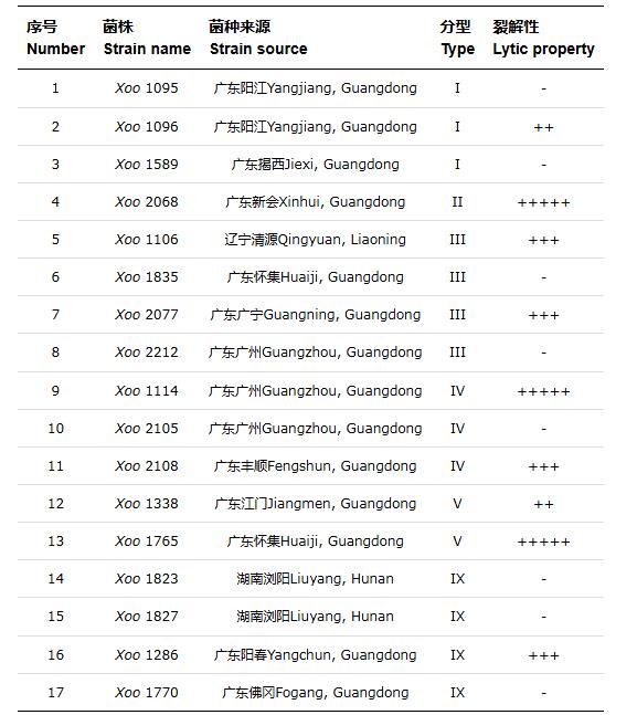 水稻黃單胞菌噬菌體最佳MOI (A)、一步生長(zhǎng)曲線、耐受性測(cè)定及基因組分析（一）