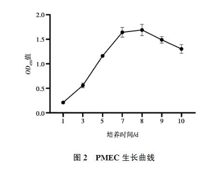 豬乳腺上皮細(xì)胞原代培養(yǎng)方法、生長(zhǎng)曲線測(cè)定、IFA、PCR、免疫印跡試驗(yàn)鑒定（二）