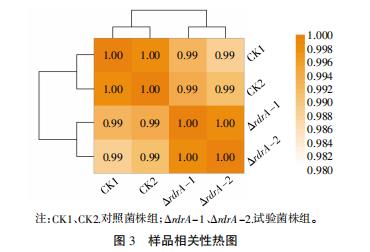 乳酸乳球菌F44生長曲線、pH曲線、酸耐受、Nisin耐受和Nisin效價(jià)（三）
