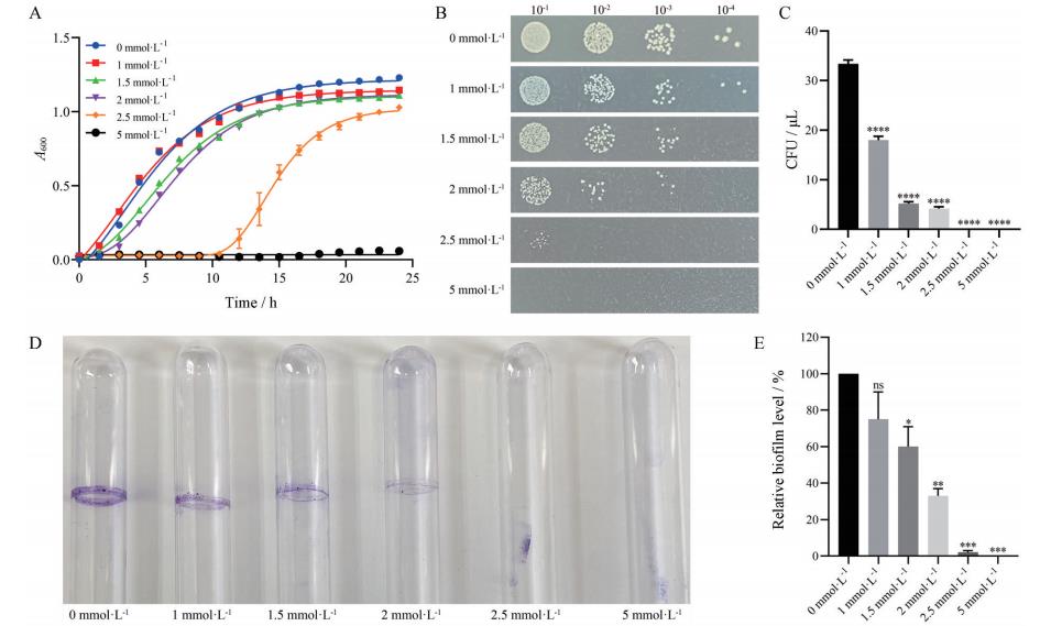不同溫度、pH值及H?O?作用下減毒沙門氏菌生長(zhǎng)曲線及細(xì)菌生物膜的形成——結(jié)果