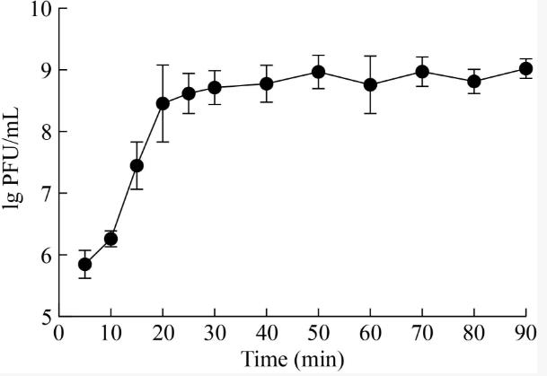 耐萬(wàn)古霉素糞腸球菌噬菌體一步生長(zhǎng)曲線、溫度和pH穩(wěn)定性分析（二）