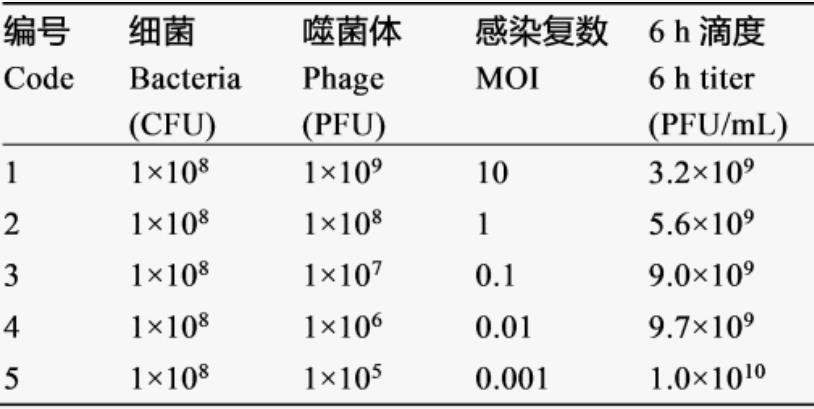 耐萬(wàn)古霉素糞腸球菌噬菌體一步生長(zhǎng)曲線、溫度和pH穩(wěn)定性分析（一）