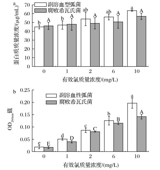低濃度微酸性電解水對純培養(yǎng)及海蝦表面接種菌的殺菌效果以及作用機(jī)制（三）
