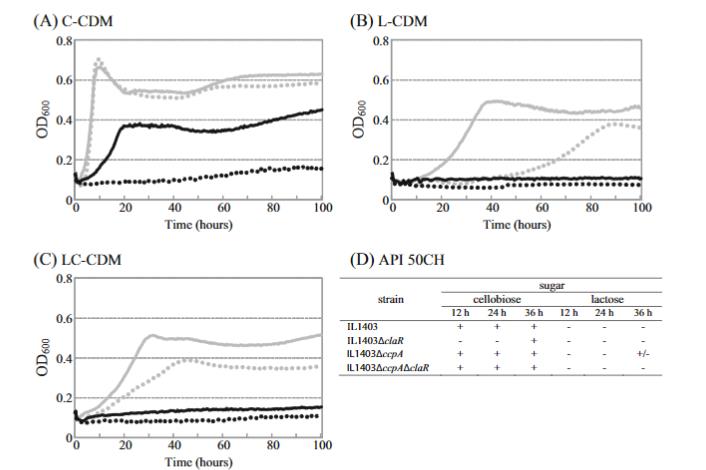 解鎖微生物代謝奧秘：新一代生長曲線分析平臺加速乳糖/纖維二糖代謝研究?（二）