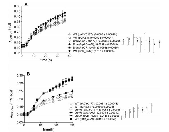 鼠疫耶爾森菌突變體生長曲線、生物膜形成及rovM和rovA轉錄的測定（三）