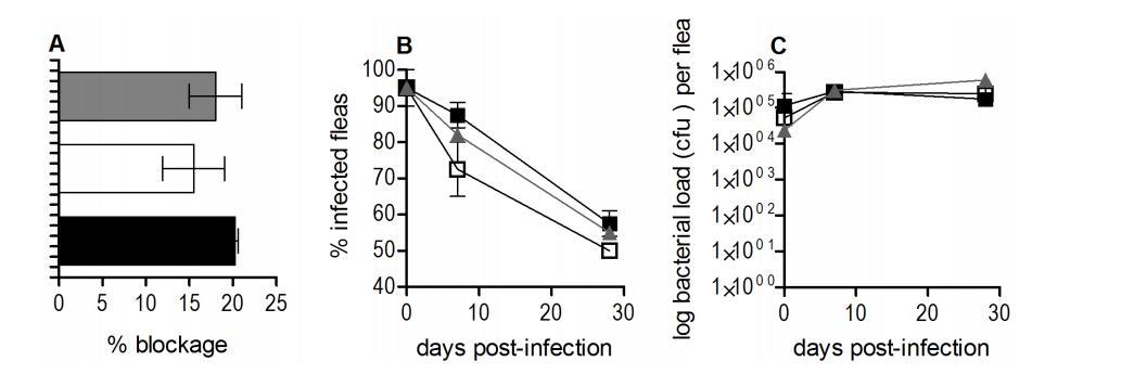 鼠疫耶爾森菌突變體生長曲線、生物膜形成及rovM和rovA轉錄的測定（四）