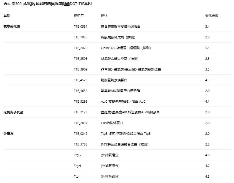 生長曲線分析儀監(jiān)測下吲哚對惡臭假單胞菌 ΔttgABC 突變體抗生素耐受的影響（四）
