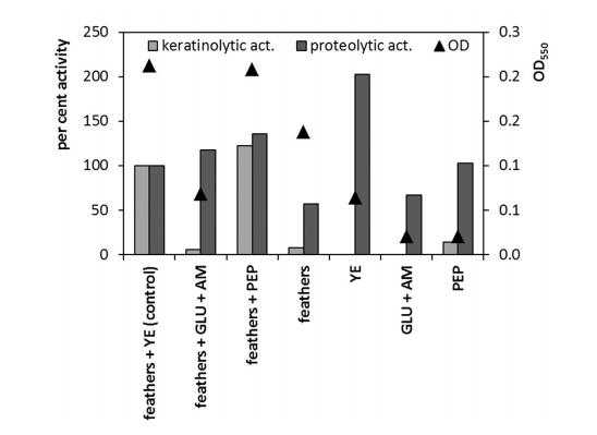 微生物生長曲線分析儀評估藤黃微球菌角蛋白酶生產(chǎn)條件及分解潛力（二）