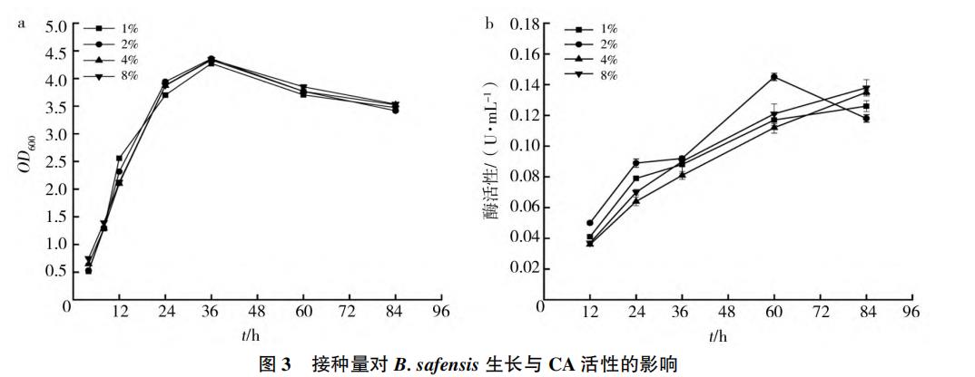 最佳培養(yǎng)條件下沙福芽胞桿菌生長曲線與CA活性曲線測定及研究（三）