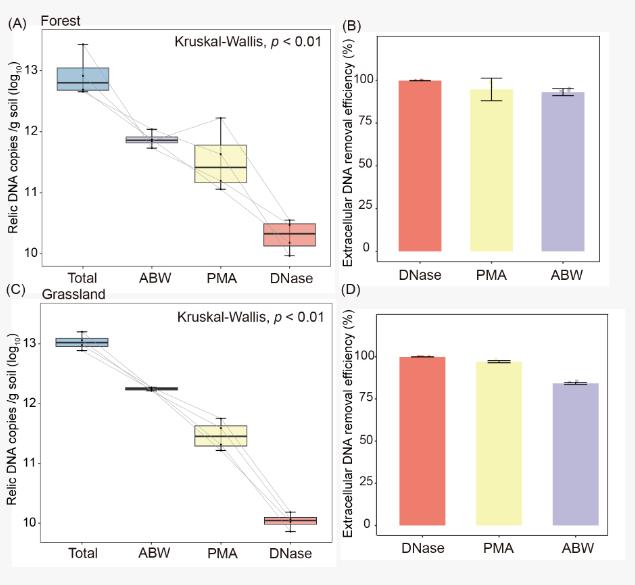 大尺度環(huán)境樣本土壤活體微生物研究方法評(píng)估與驗(yàn)證（四）