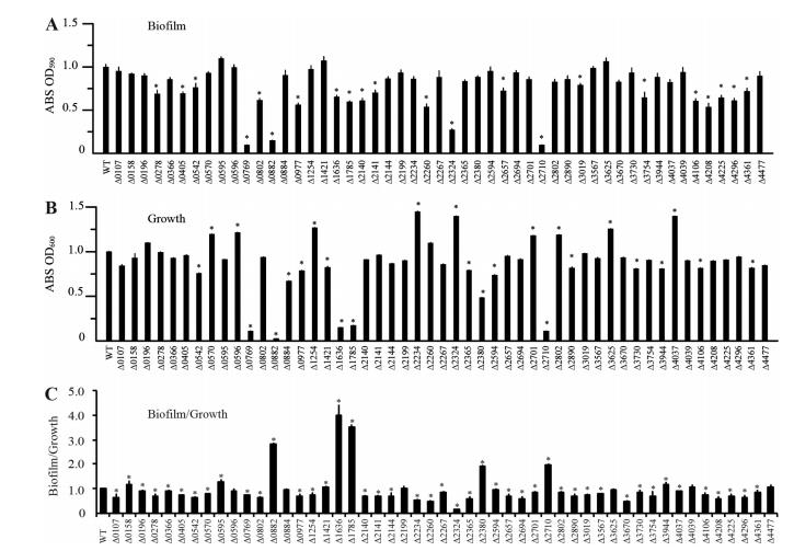 微生物生長曲線分析儀助力嗜麥芽窄食單胞菌組氨酸激酶庫的功能圖譜繪制（三）