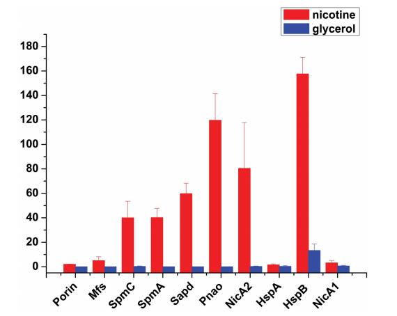 系統(tǒng)性解析惡臭假單胞菌S16中尼古丁降解的分子機制（二）